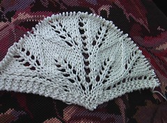 Cotton Kiri beginnings
