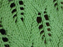 Citron vert Kiri closeup