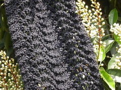 Feather & Fan scarf