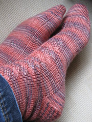 Express Lane socks
