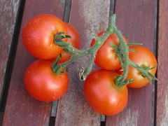 Finally some tomatoes