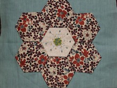 Katrina flower