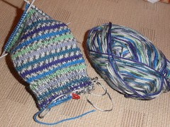 Regia Paris sock