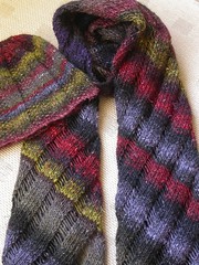Noro hat and clapotis